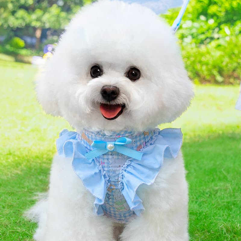 Trela de cachorro bonito renda Anti-quebra nó ajustável cão espartilho trela cinta colete estilo cão andando trela