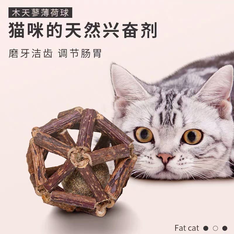 Gato autocurativo hortelã pirulito Mutian Polygonum vara gato Molar vara dentes limpos remover bola de cabelo ajuda a di