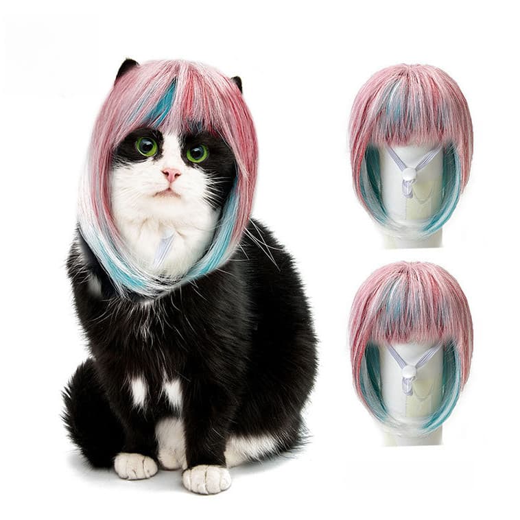 Adereços de decoração para animais de estimação