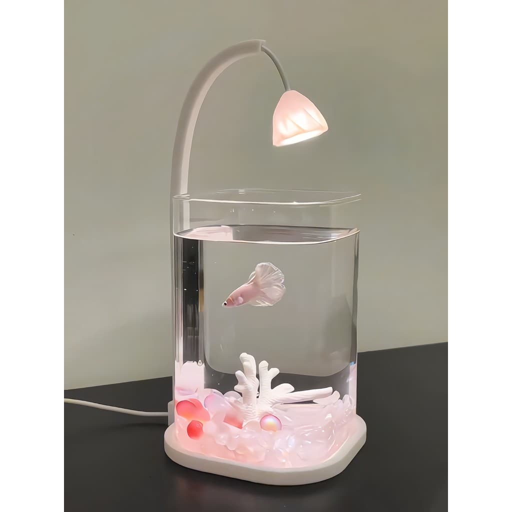 Betta especial tanque de peixes pequeno Mini desktop tanque vidro paisagismo Ornamental aquário criativo decoração deskt