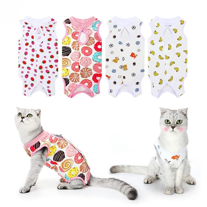 Roupa Cirurgia Gatos Roupa Cirúrgica para Gatos Roupa pós Cirúrgica Gatos