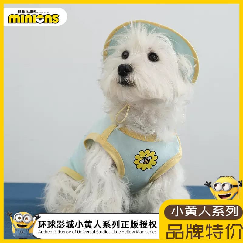 Pequeno homem amarelo primavera Floral puro algodão colete Pet balde chapéu gatinho filhote de cachorro primavera passei
