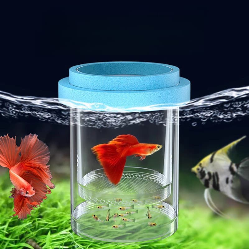 Caixa de isolamento de reprodução de Guppy suspensa Tanque de peixes Incubação de peixes juvenis Sala de nascimento Tanq
