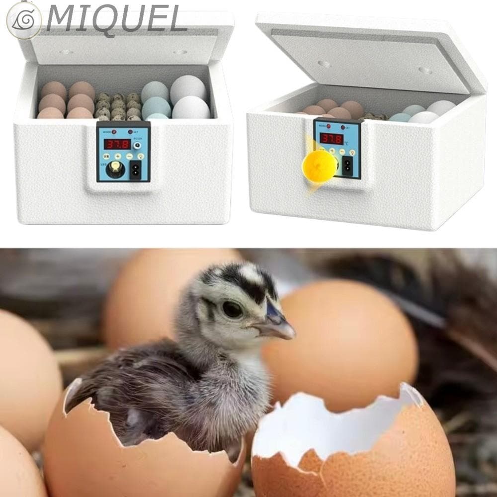 MIQUEL 10/15PCS Incubadora De Ovos Com Base De Água , Display Digital , Controle De Umidade , Inteligente De Aves , Sile