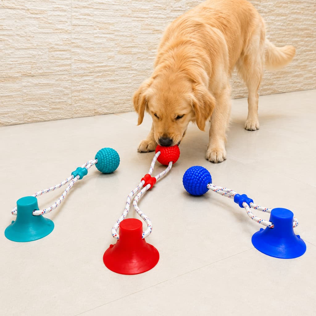 Brinquedo Pet Interativo com Ventosa e Bola para Cachorro Mordedor Resistente Cabo Guerra