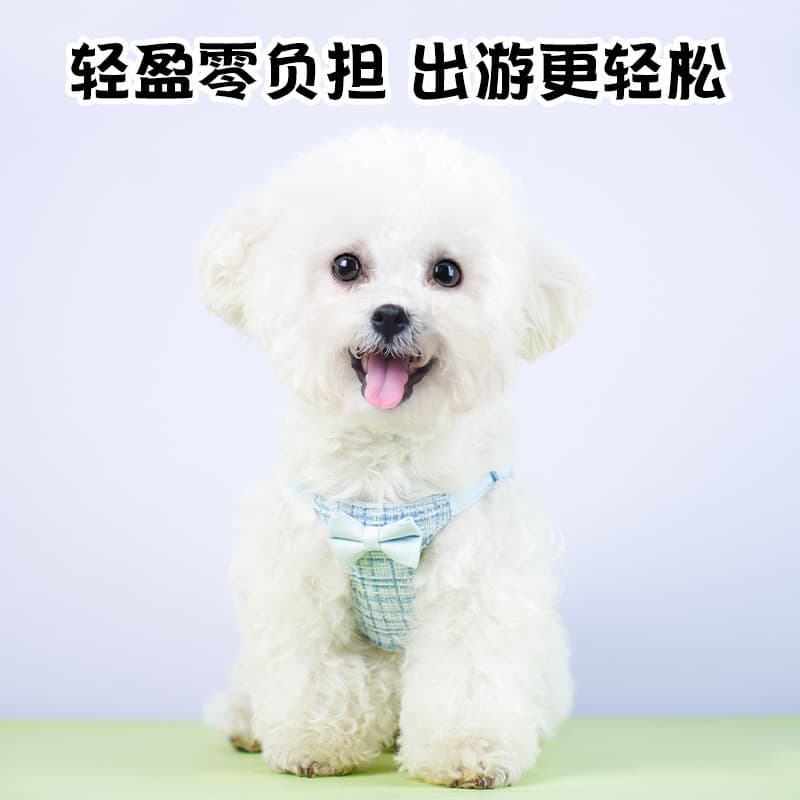 Coleira para cães estilo colete com laço fofo, para cães e gatos pequenos, para Bichon e Teddy 2TQB