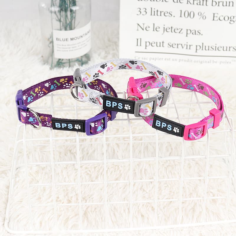 Novo produto coleira para animais de estimação pequeno cão de tamanho médio moda coleira colorida coleira ajustável supr