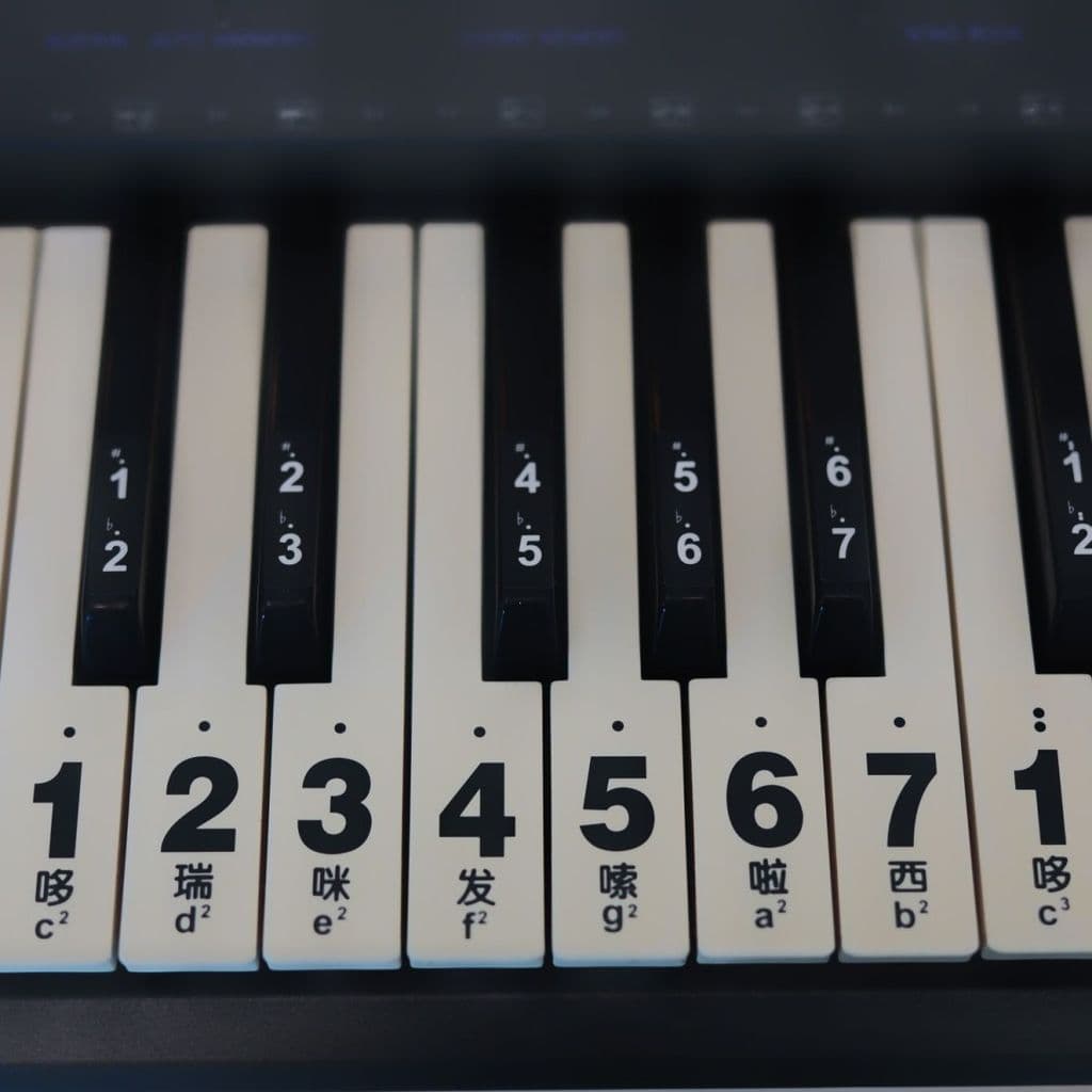 Adesivo para teclado de piano, teclado eletrônico, teclado de piano, adesivo transparente para teclado de autoestudo