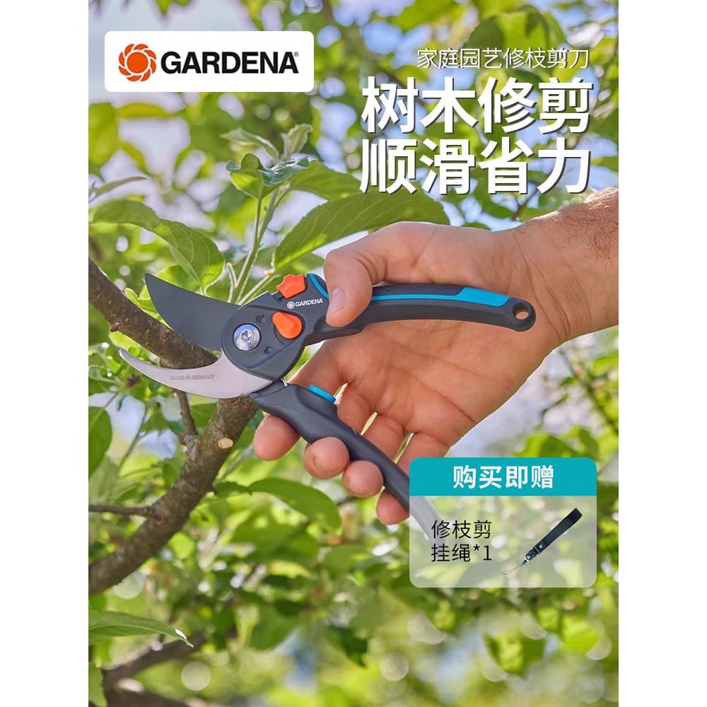 Tesouras de poda Jiadingna importadas alemãs Tesouras especiais de jardinagem Tesouras de poda de árvores frutíferas Tes