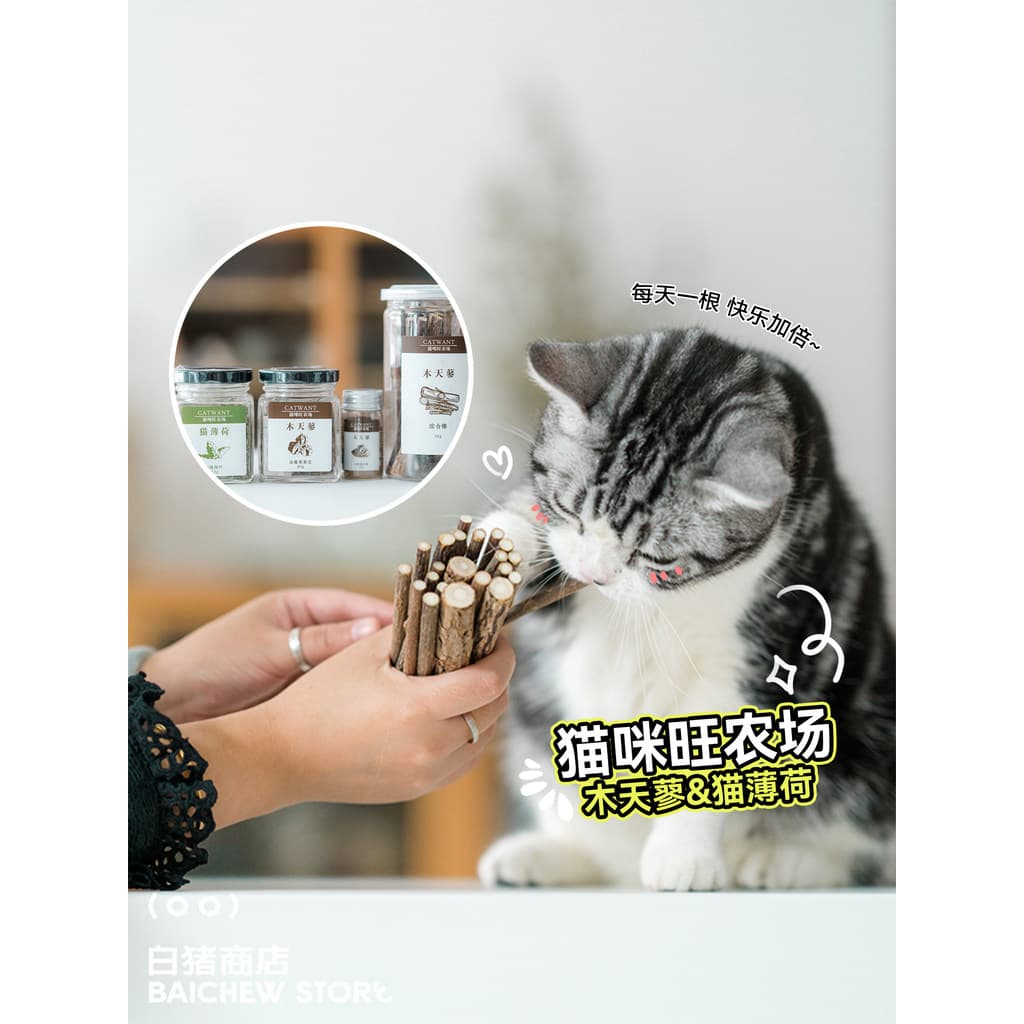 Loja de porcos brancos Catwant Catwant Série de matérias-primas Catnip Worm Gall Fruit Powder Cat Toy Autocurativo