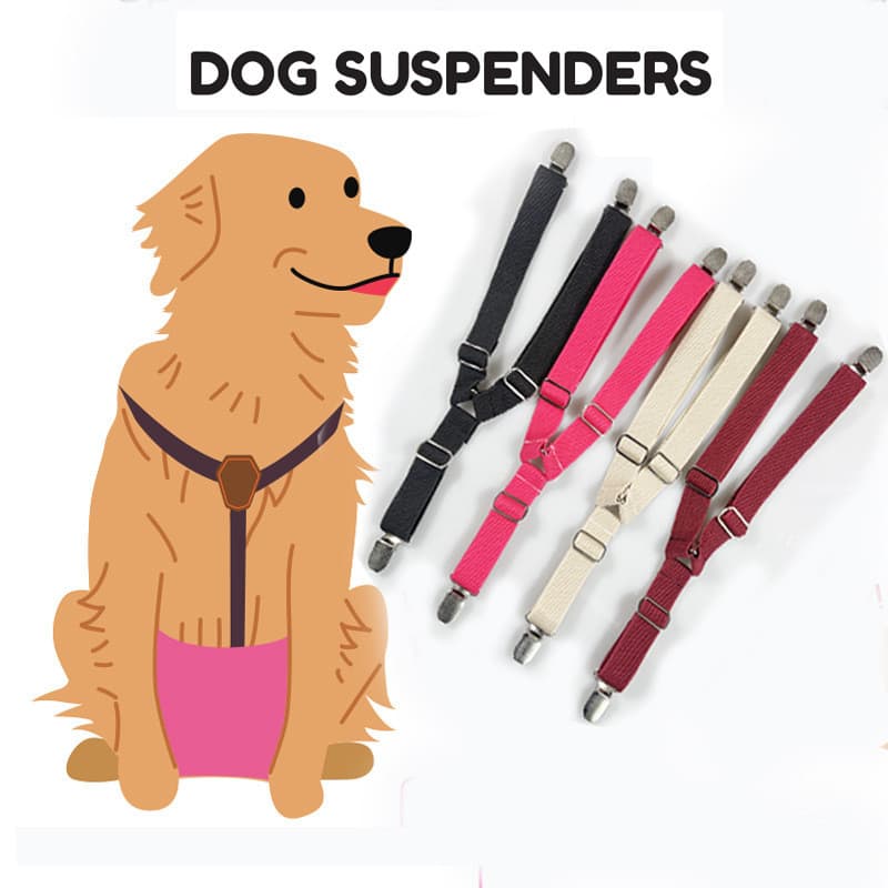 Suprimentos para animais de estimação novo estilo fraldas para animais de estimação tiras Anti-molhadas ajustáveis calça