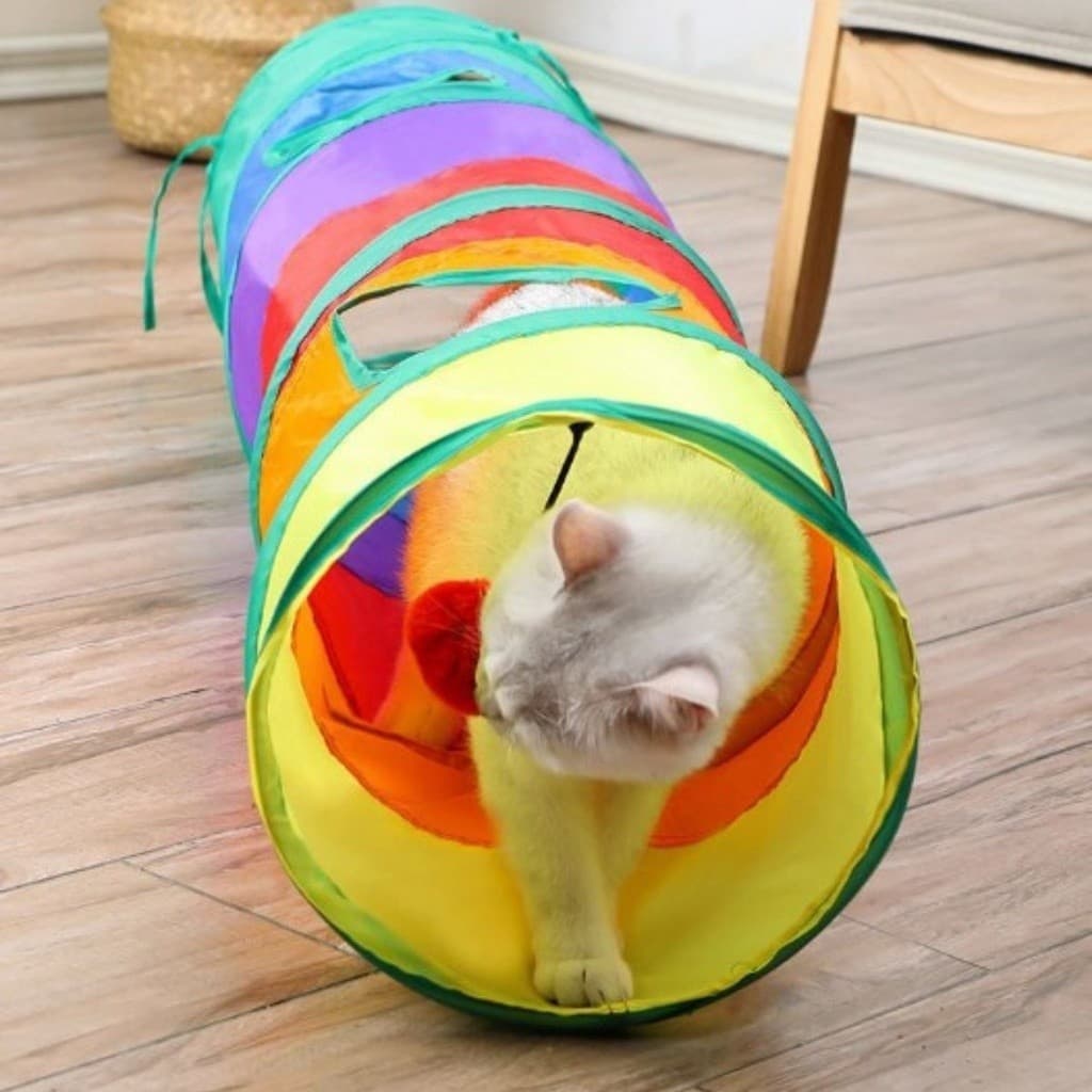 Túnel Colorido Pet Entretenimento Atividade Física Estímulo Cães Gatos 115m