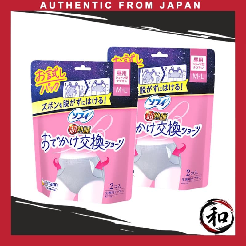 Pacote de teste de cueca absorvente para sair ML, uso diurno, 2 unidades × 2 pacotes【Direct from Japan】