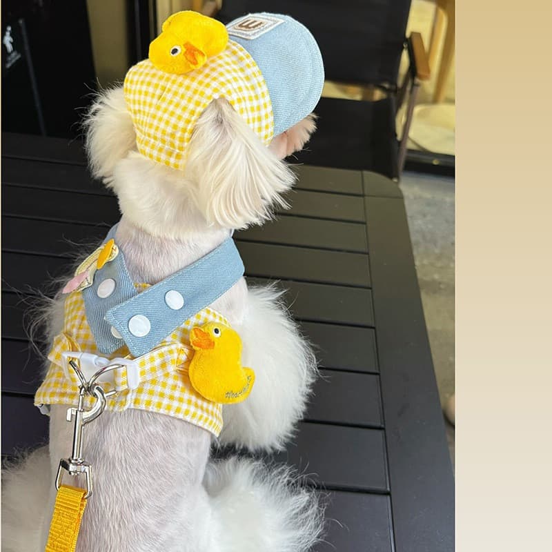 Kit Coleira peitoral de Patinho com chapéu e guia para Gatos e cachorros Pequeno e outros pets
