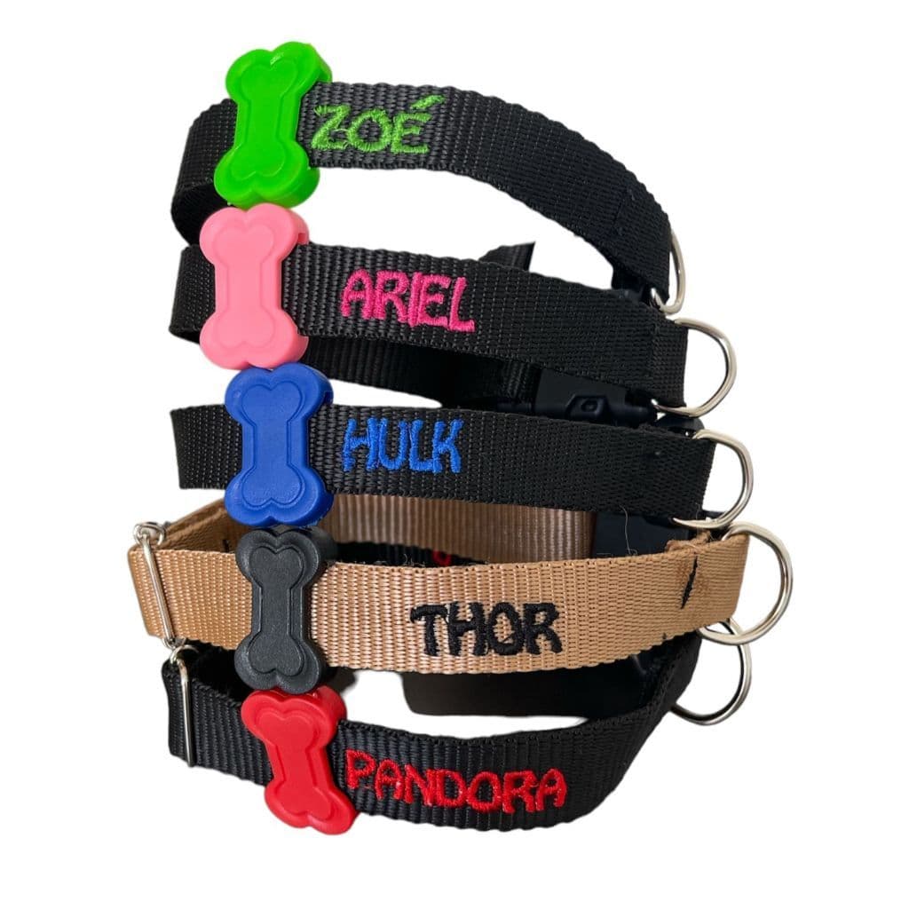 Coleira personalizada para cachorro de médio e grande porte