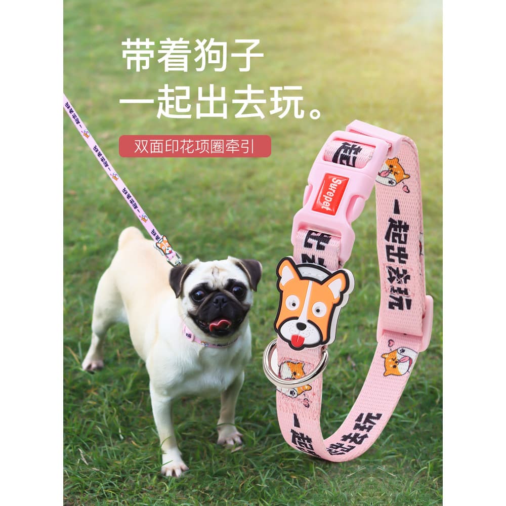 Conjunto de coleira para cachorro, tamanho médio, Corgi, Shiba Inu, coleira para cachorro pequeno, pelúcia, cachorro fra