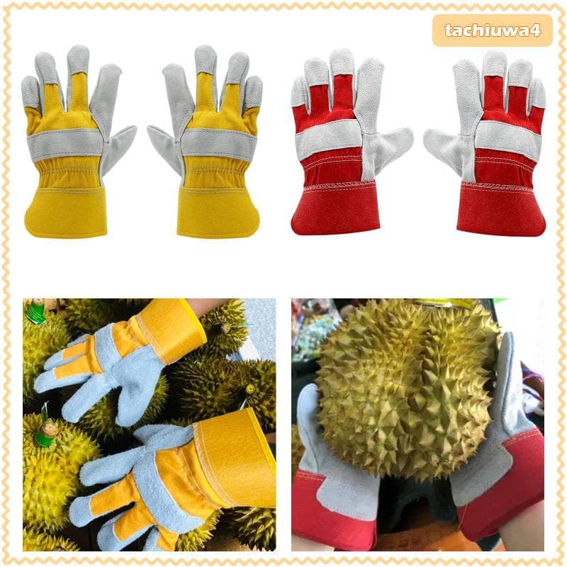 [Tachiuwa3] Luvas De Colheita Durian Luva De Capina E Plantio Resistência Ao Desgaste De Frutas Tamanho Raking Armazém D