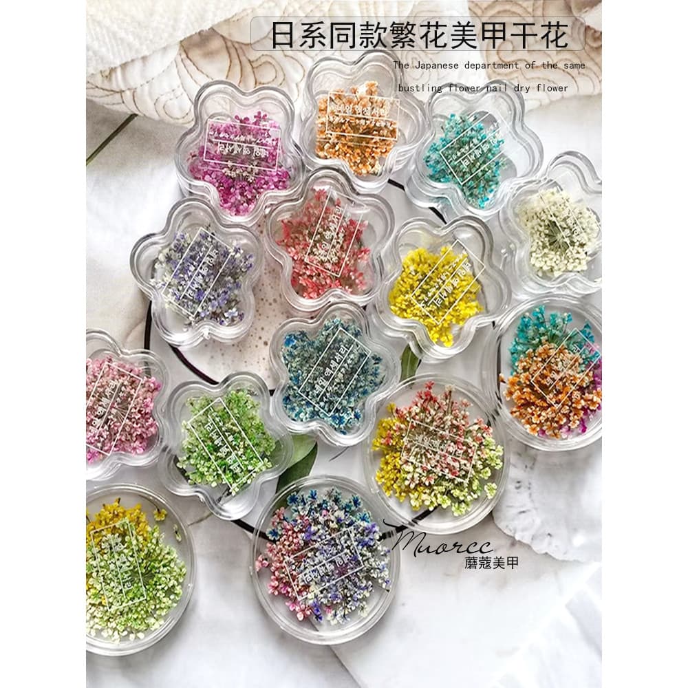 Hortelã japonesa mesmo estilo Manicure flor prensada renda flor gradiente fresco romântico flor seca acessórios de decor