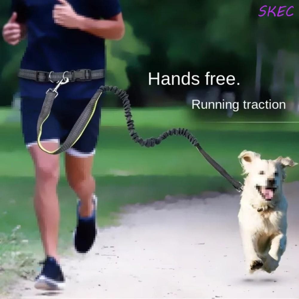 Trela Para Cães De Corrida SKEC , Elástica Dupla Caminhada De Animais De Estimação , Cinto Reflexivo , Corda De Tração