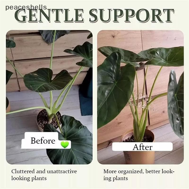 Reutilizável Transparente Monstera Planta Haste Suporte Titular Vaso Construção Resistente Pilha