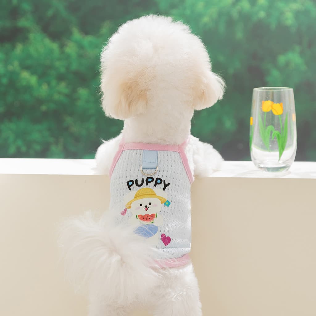 Nova coleira de tração respirável para primavera/verão, roupa para cães Bichon, Teddy e cães de pequeno a médio porte, v