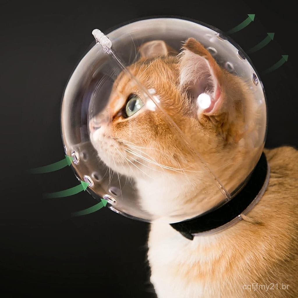 Capa de capacete de astronauta pequena, respirável, transparente e resistente a mordidas, com proteção ajustável contra