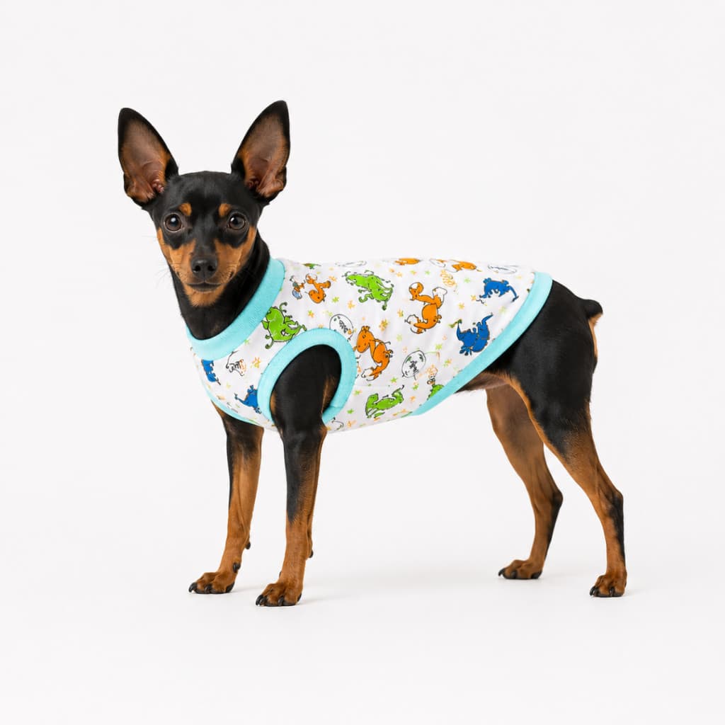 Roupa Pet para Cachorro e Gato de Malha | 100% Algodão | Macia, Confortável e Respirável | P ao G1