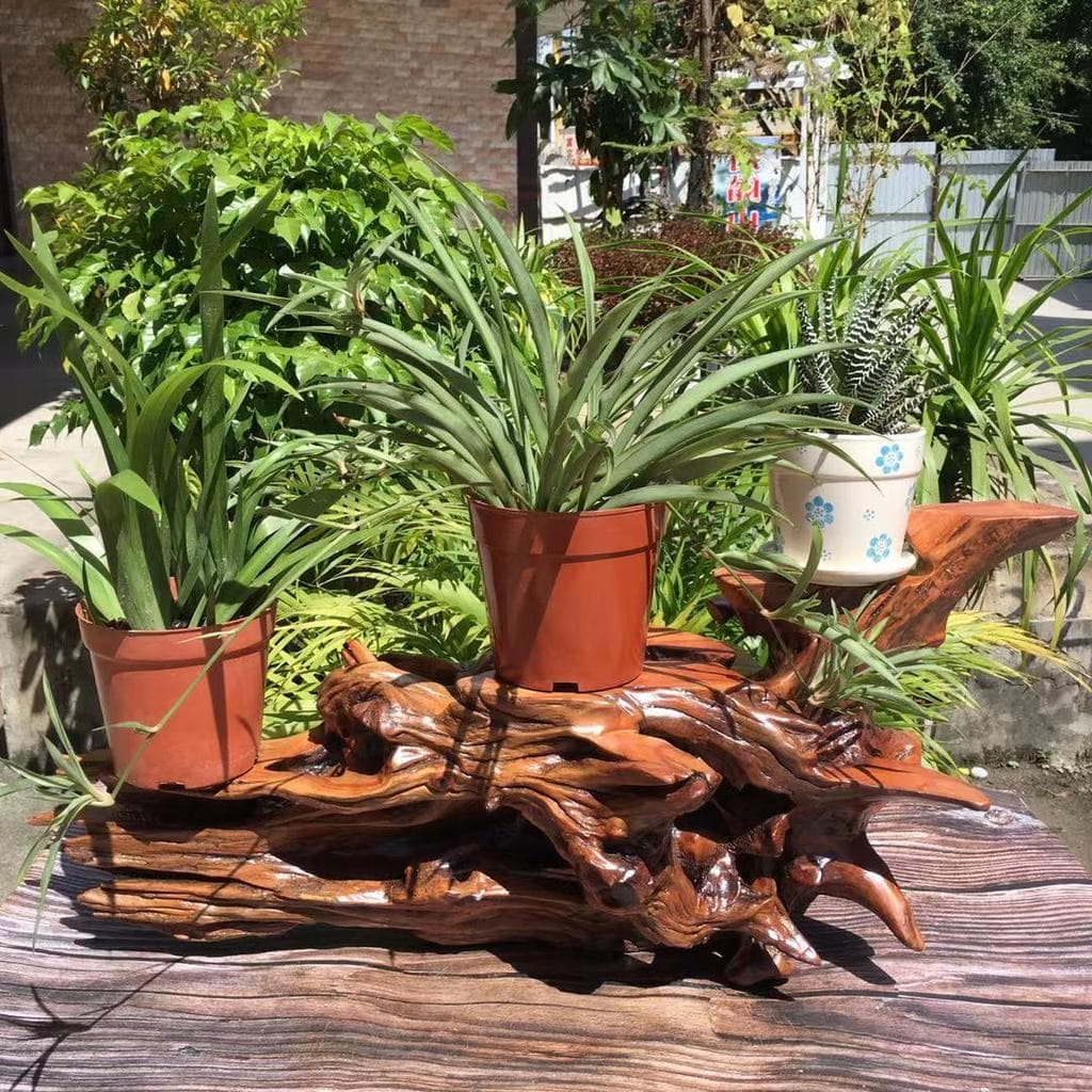 Suporte para escultura em raiz, Base de madeira para decoração de sala de estar, madeira maciça Natural, raiz de árvore,