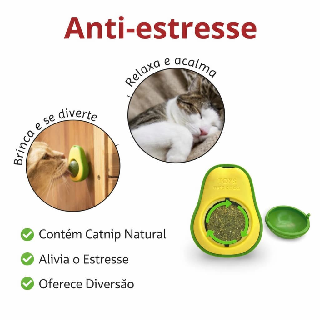 Catnip para gatos brinquedo com Erva Natural antiestresse Abacate pet -  Chalesco