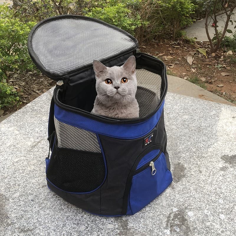 Saco de gato passeio portátil saco sem cabeça respirável mochila gato saco de escola quatro estações Universal gato Take