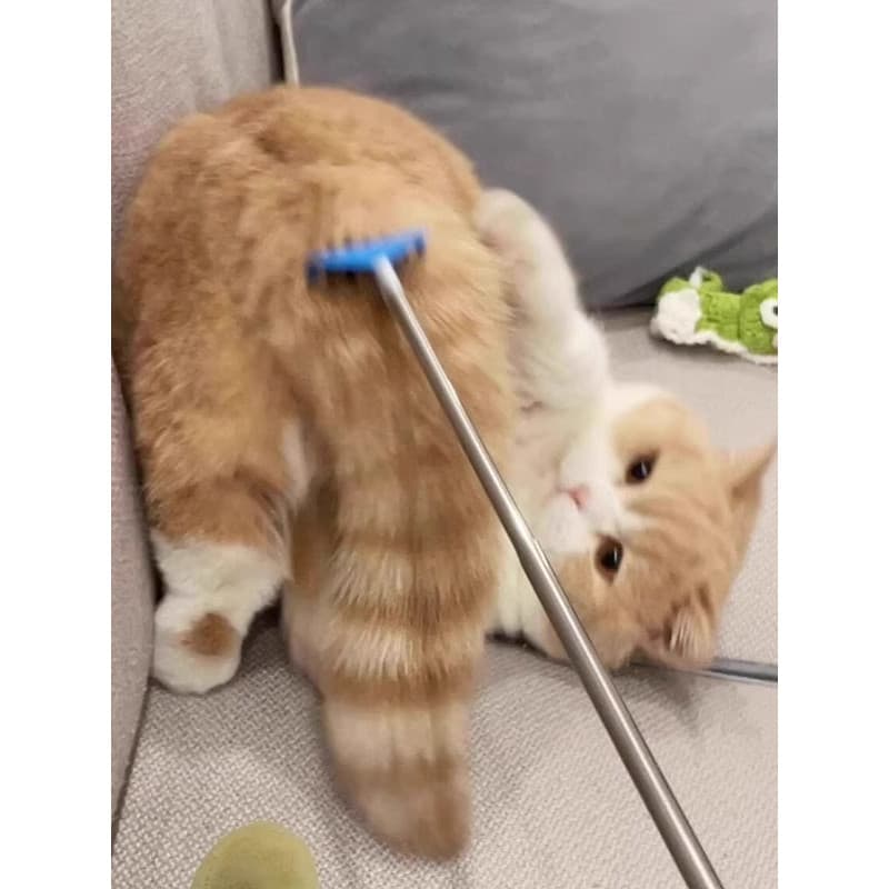 Gato massagem interativa coceira aliviar o tédio gato ferramenta útil haste longa pente retrátil pentear escova coceira