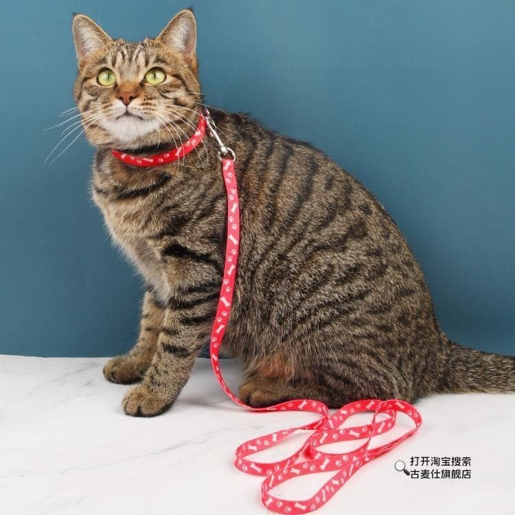 Coleira para gatos, coleira para gatos, prevenção de quebra, pescoço livre, caminhada, coleira para gatos, sem quebra