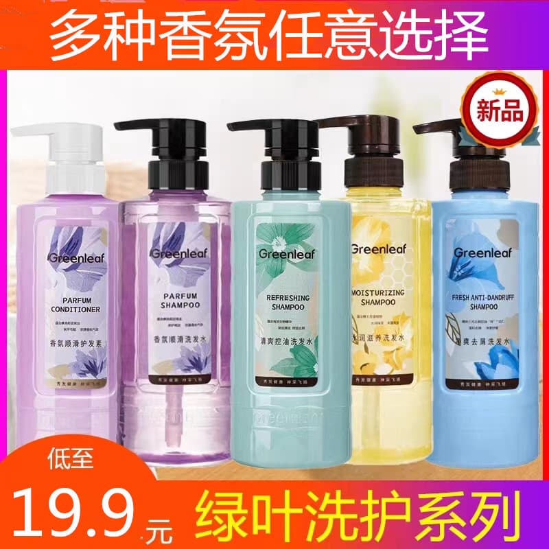 Folha verde amor vida fragrância Shampoo anti-caspa controle de óleo anti-coceira nutritivo condicionador macio conjunto