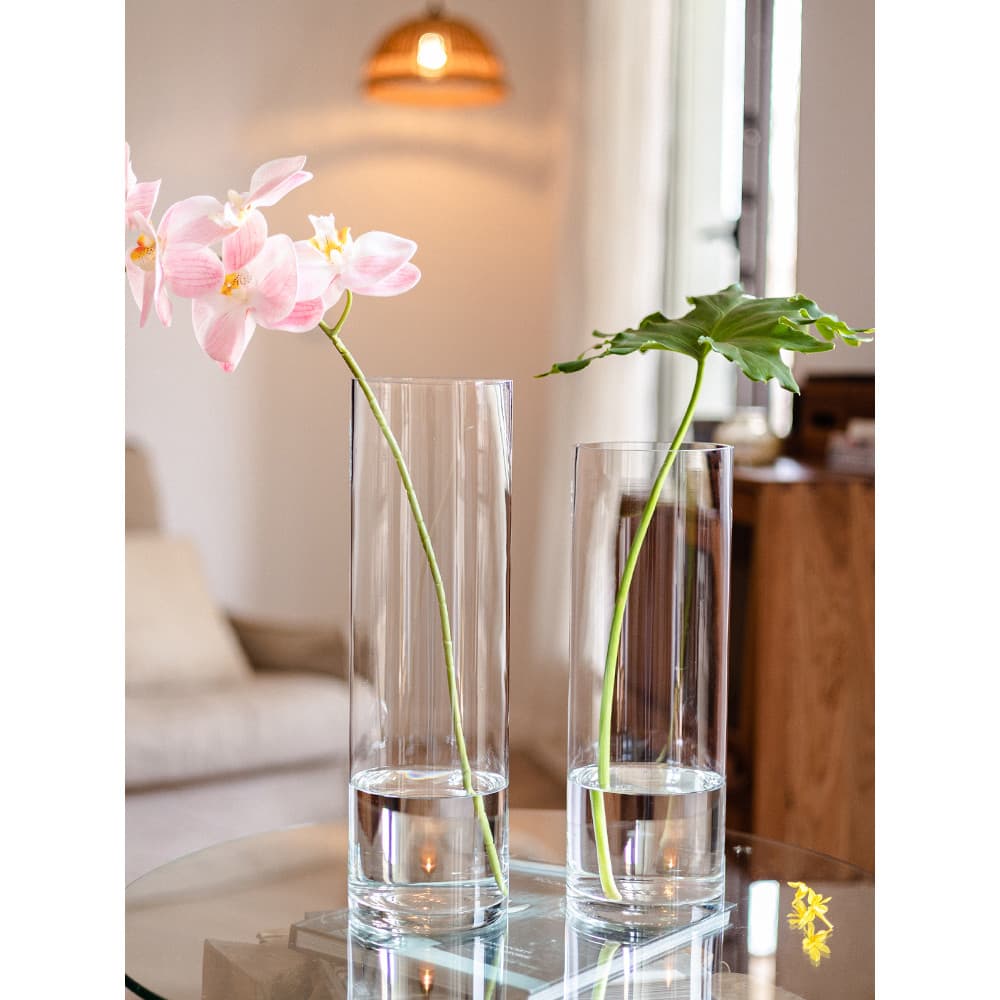 Vaso de vidro transparente transparente flores hidropônicas fortuna lírio de bambu sala de estar mesa de jantar nórdico