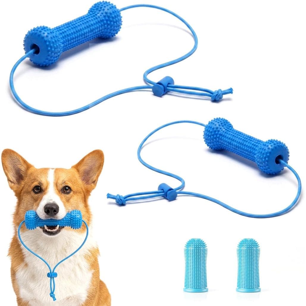 Brinquedo de mastigar em formato de osso com espinhos de dupla ação para cães de pequeno e médio porte, abridor de boca
