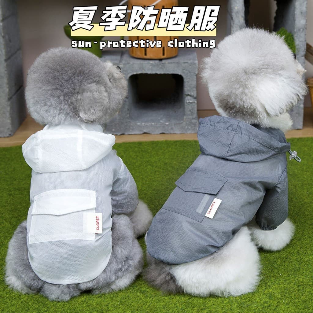 Roupas para Animais de Estimação Primavera/Verão, Nova Moda para Cães Teddy, Bichon, Gatos, Cães Pequenos, Roupas de Ver