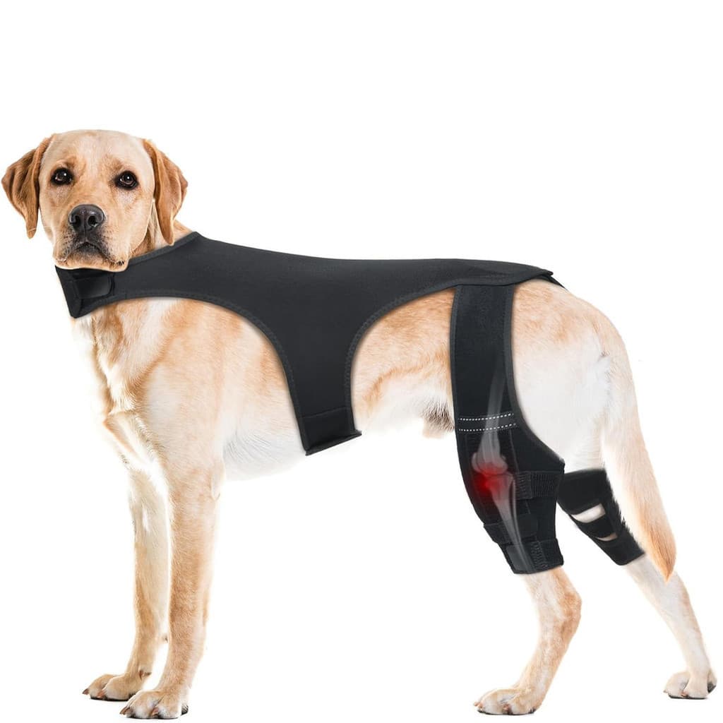 Capa protetora para articulação traseira de cachorro, equipamento de proteção respirável para animais de estimação Pro Y