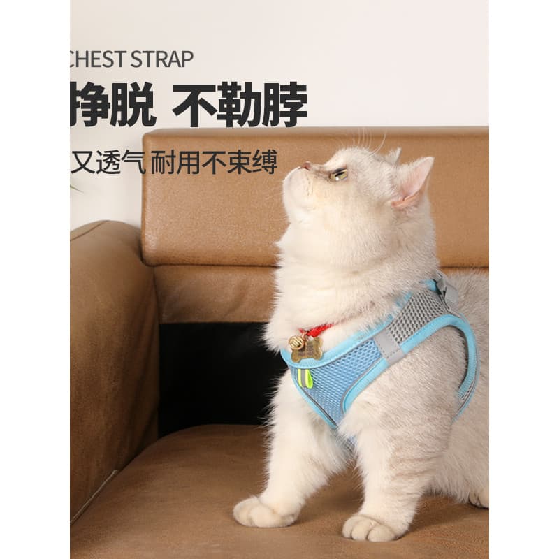 Coleira para cães e gatos, influenciador, caminhada, coleira para gatos, caminhada, coleira para animais de estimação, f