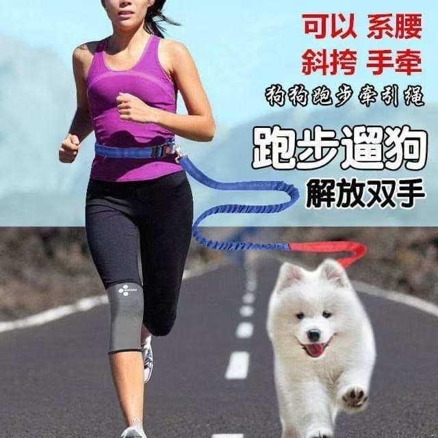Coleira para animais de estimação, trela para corrida, cinto, cintura, corda conveniente