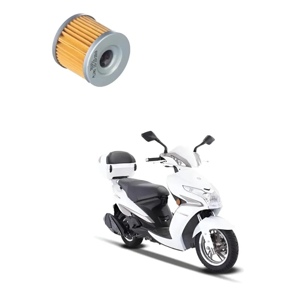Filtro De Óleo Tecfil PL240 Para Scooter Suzuki Burgman 125 / Haojue Lindy 125