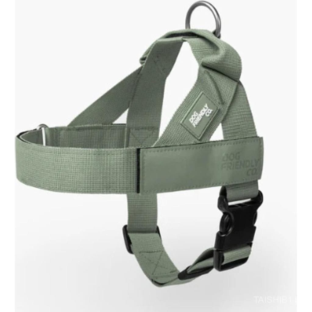 Dog Friendly Co. Dog Harness | Chafe Resistant Webbing, Adjustable Neck & Chest, and Heavy Duty D-Ring | Sturdy, Comfort