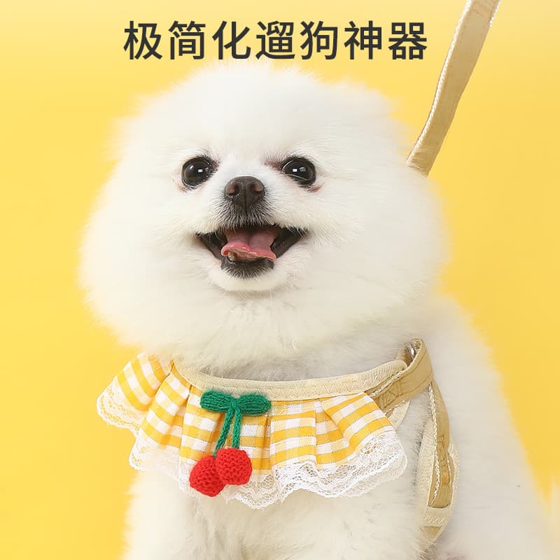 Coleira de renda para cachorro da Pomerânia, babador para caminhada de cachorro pequeno, alça peitoral, pelúcia, Bichon,