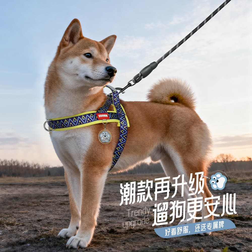 Trela de cachorro estilo sela Shiba Inu Bichon cão andando cinta peitoral pequeno médio tamanho cão passeio dedicado col