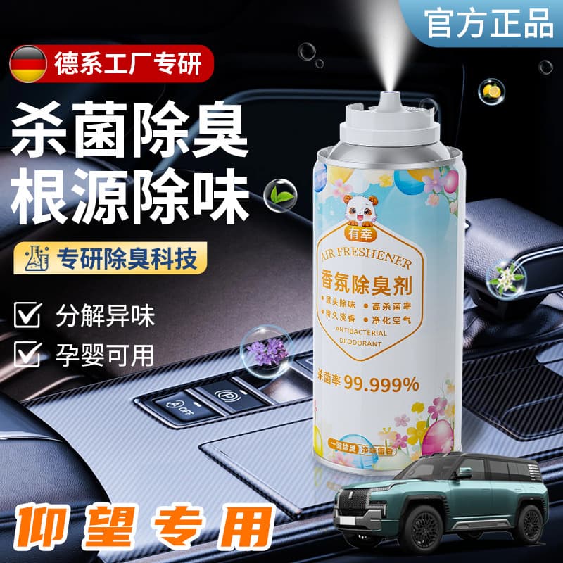 Ambientador de carro Olhe para u8 Aromaterapia u8l Desodorização u9 Couro u7 Desodorização Uso interno Purificação Ester