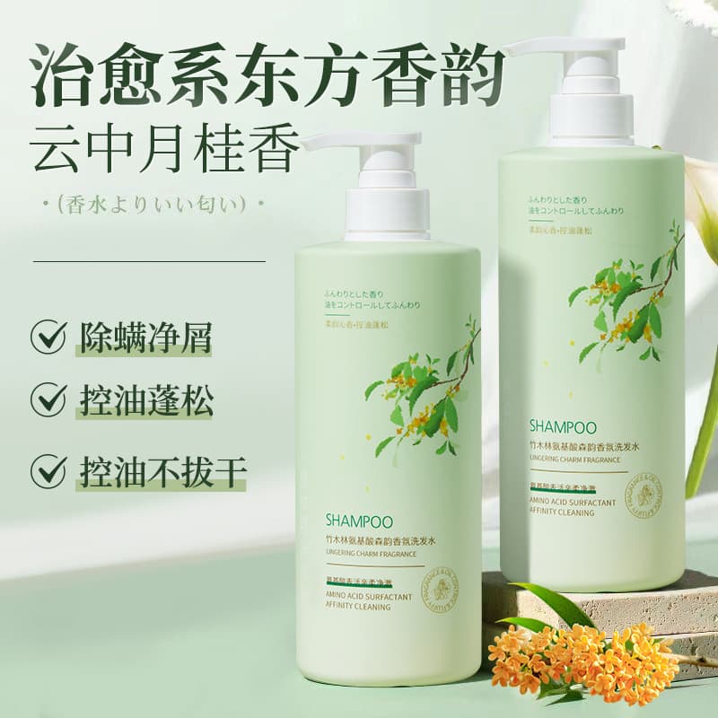 Madeira de bambu floresta aminoácido fragrância Shampoo anti-caspa anti-coceira controle de óleo fofo fragrância de long