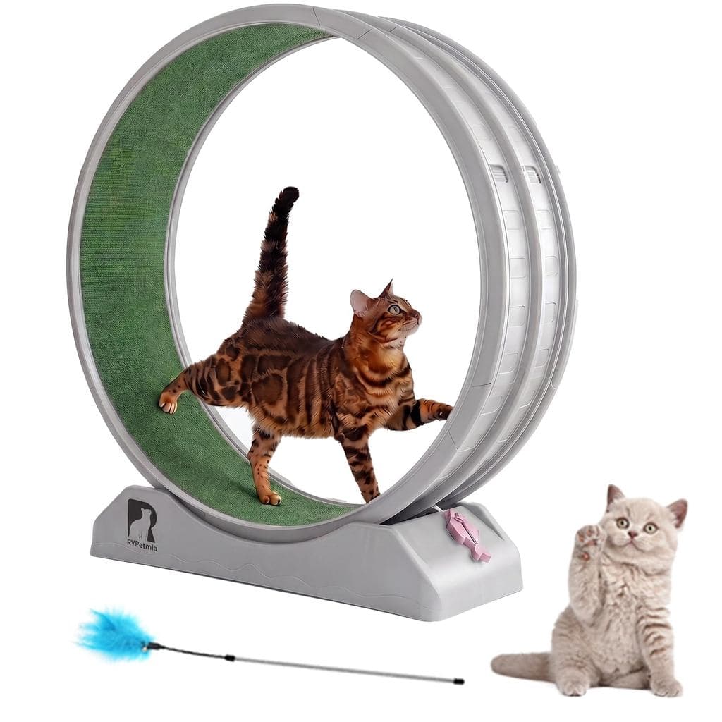 Esteira Roda De Exercicios Para Gatos Silenciosa Antiestresse Suporta 15kg Com Brinde Interativo