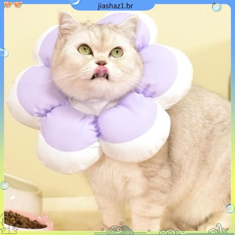 Coleira Elizabeth à prova d'água para gatos, Anti-lamber, mordida, gatinho, arnês, coleira para gatos, suprimentos para