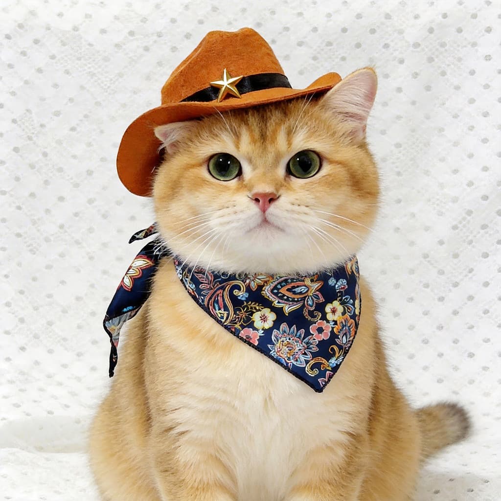 Conjunto De Chapéu E Bandana De Cowboy Para Animais De Estimação , Acessórios De Fantasia Ocidental Gatos Cães , Fotogra