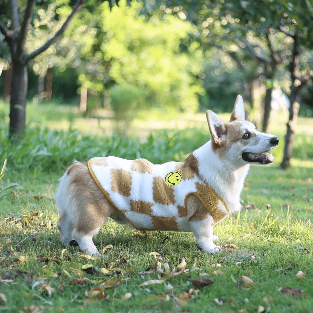 Roupa Para Cachorro Material De Poliéster À Prova De Abrasão Estilo Outono Corgi