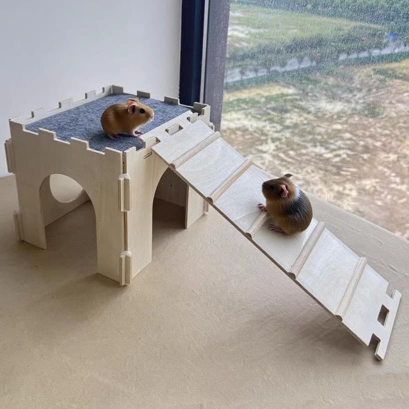 Coelho de madeira escondendo casa com dois andares cobaia escalada escada escondendo ninho Hamster gaiola urso dourado e